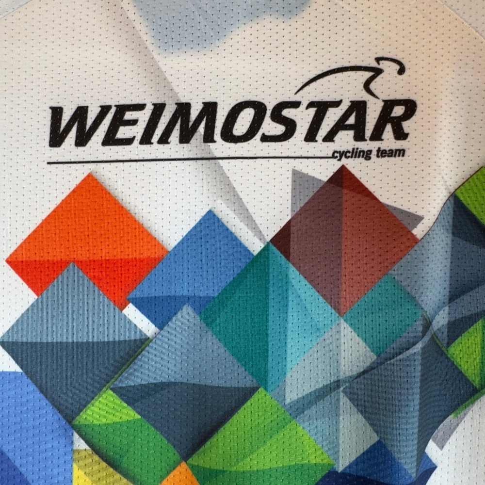 WEIMOSTAR Cycling Jersey Full Zip Multicolored Geometric Print Unisex size Large - Picture 4 of 7